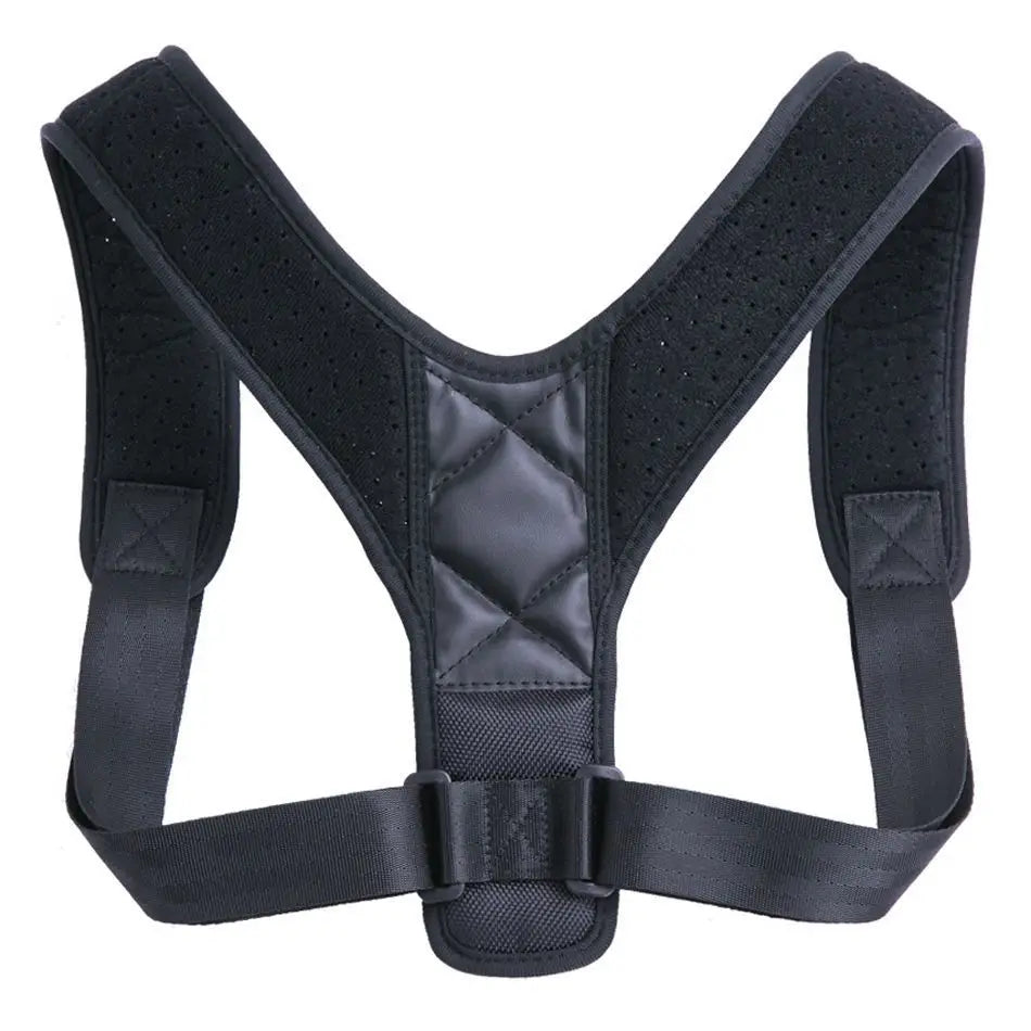 Standing and sitting posture support belt