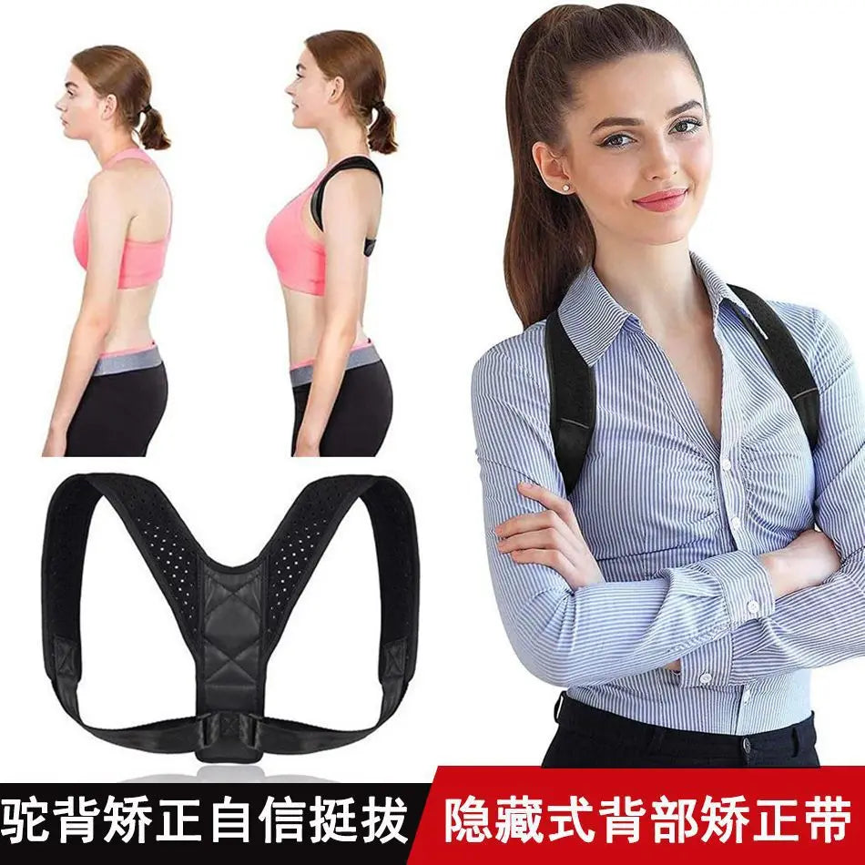 Standing and sitting posture support belt