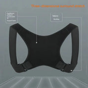 Standing and sitting posture support belt