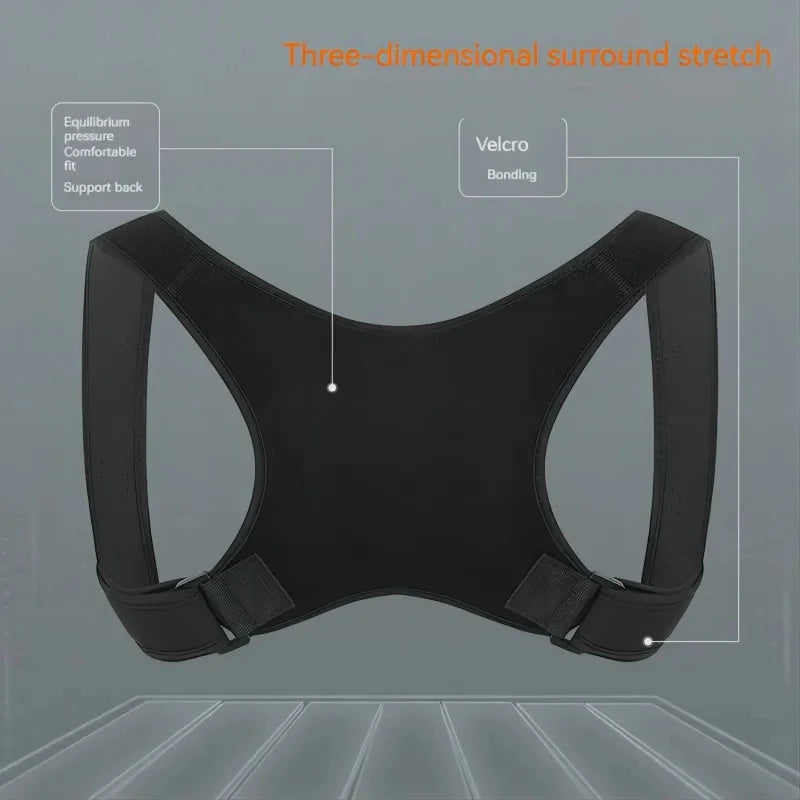 Standing and sitting posture support belt