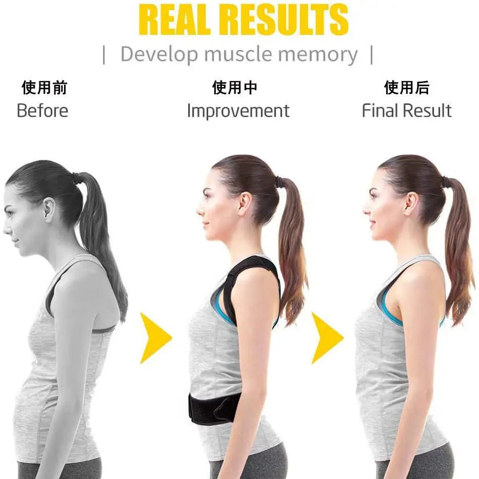 Standing and sitting posture support belt